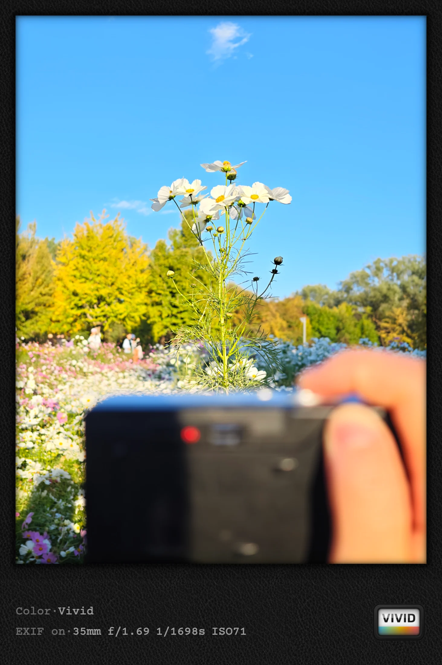 IMG_20261013_162432