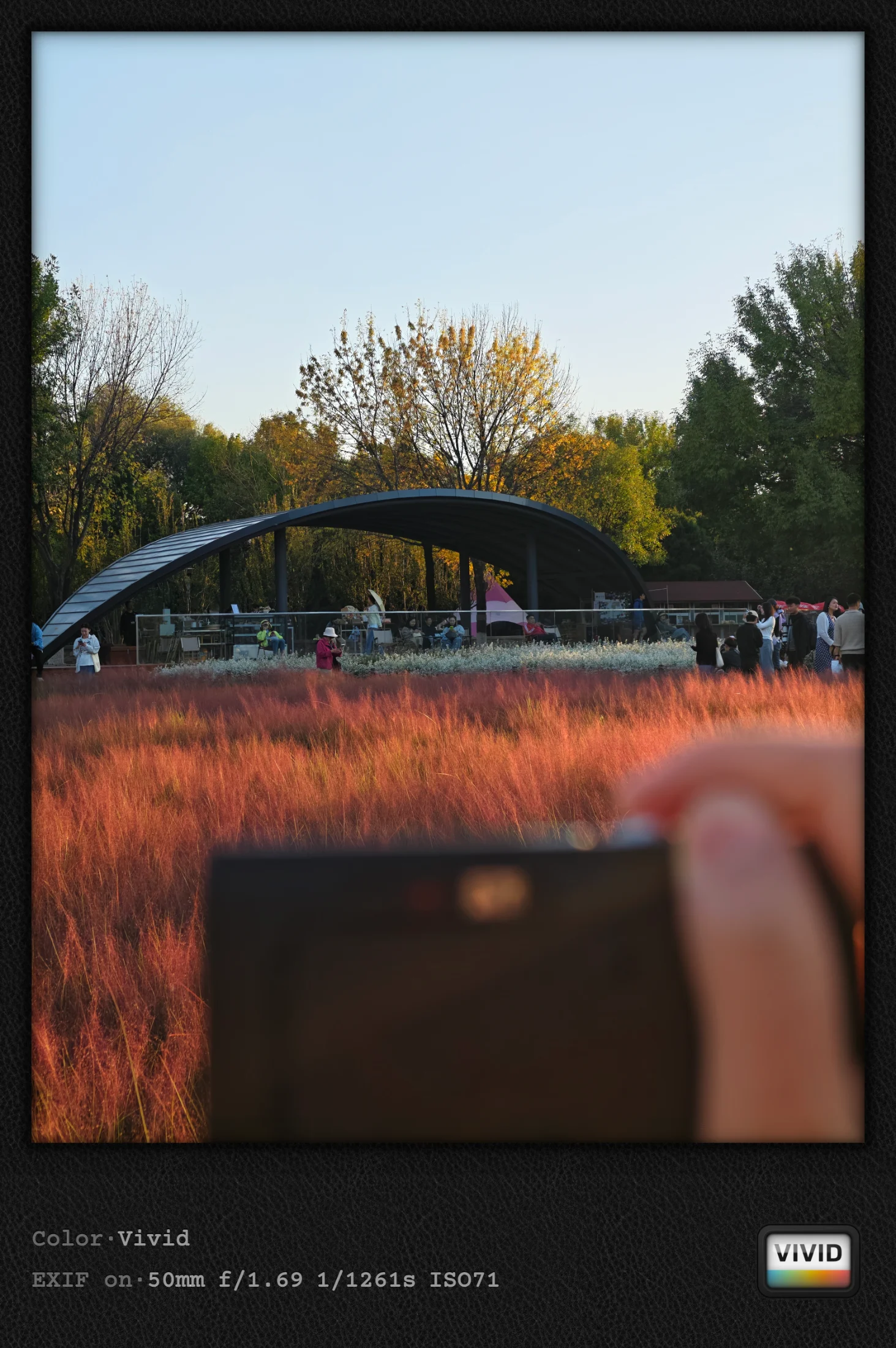 IMG_20261013_165949