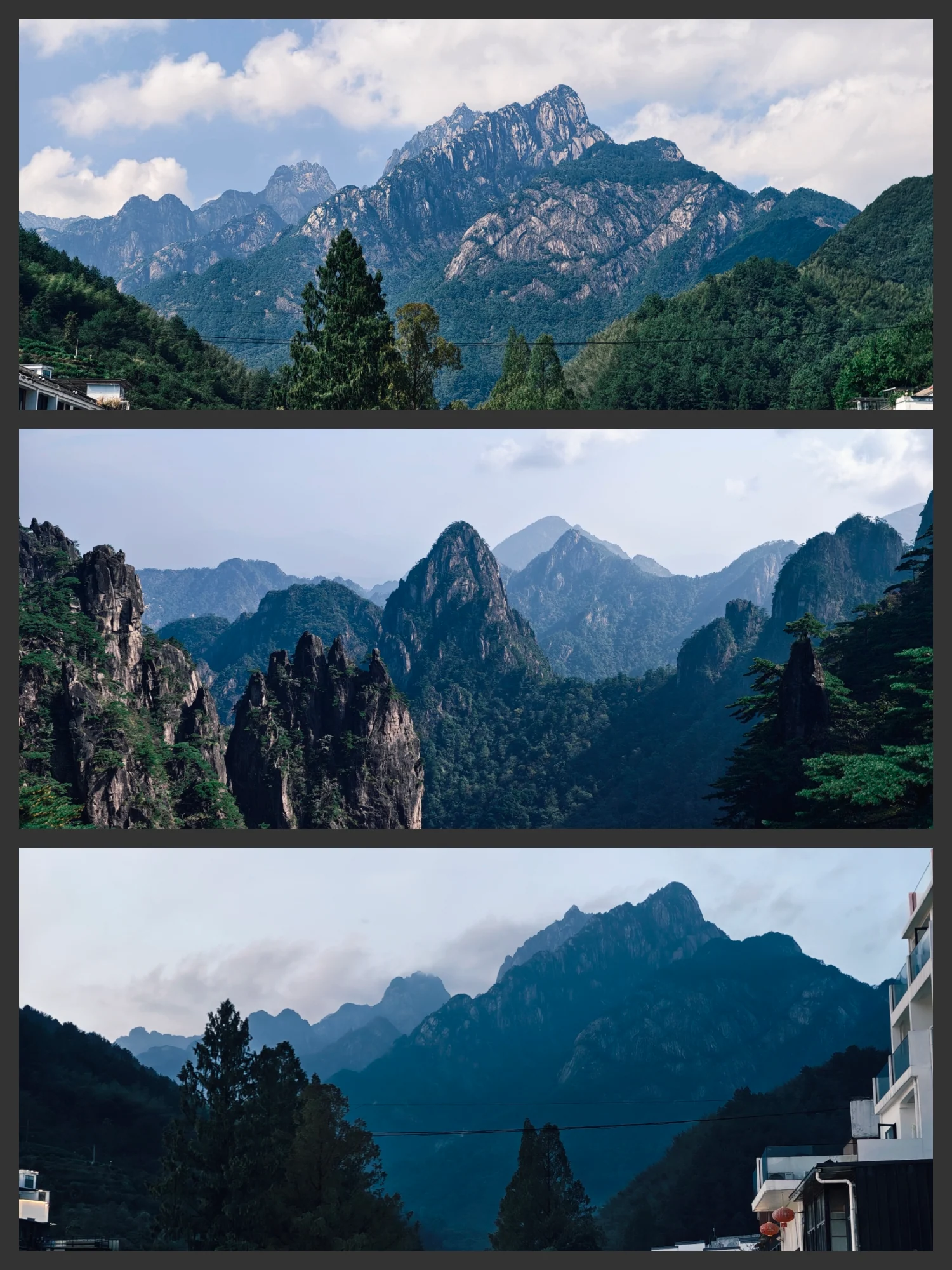 层叠山峰、松树与云雾