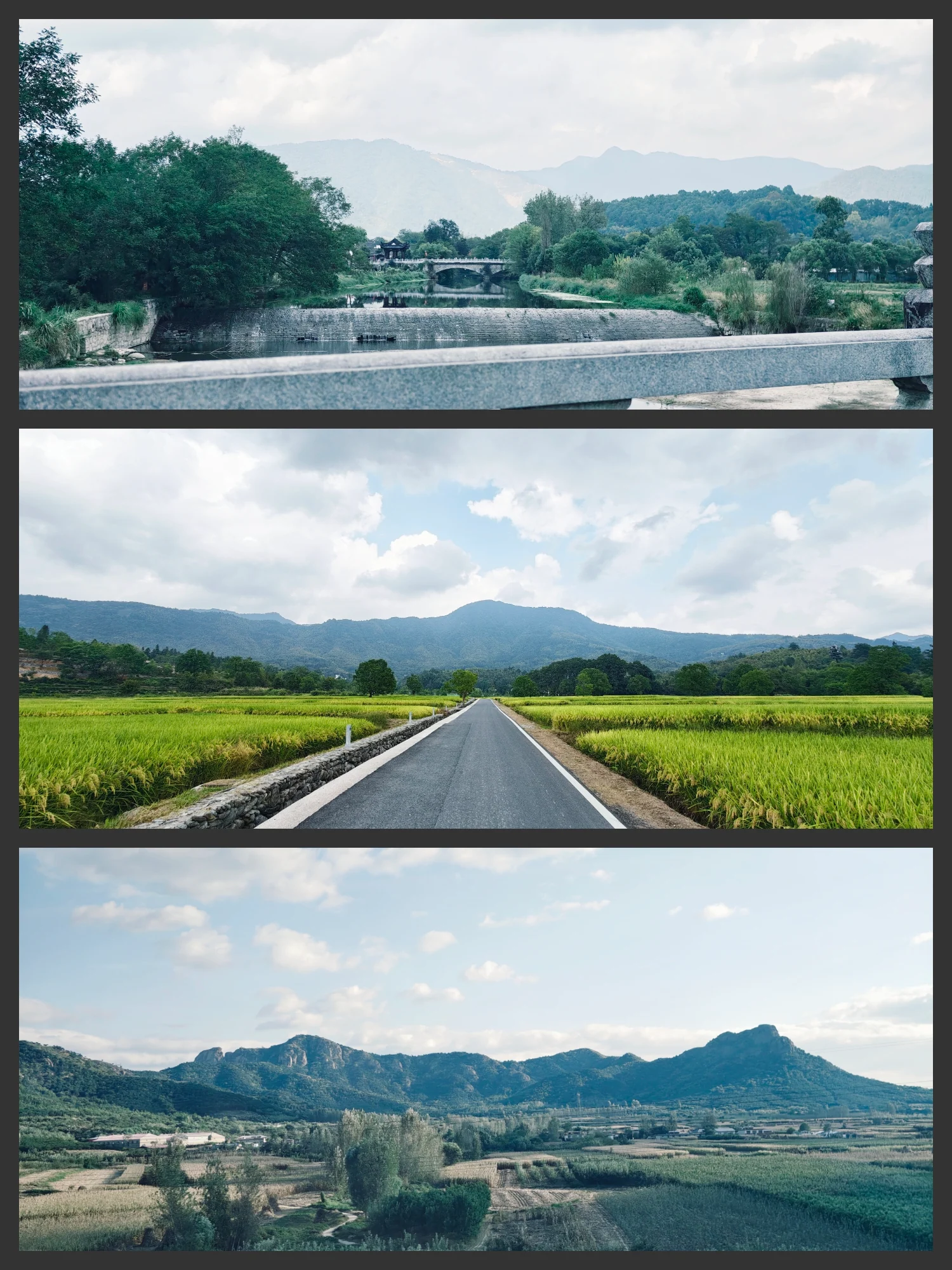 稻田之间通向群山的笔直道路